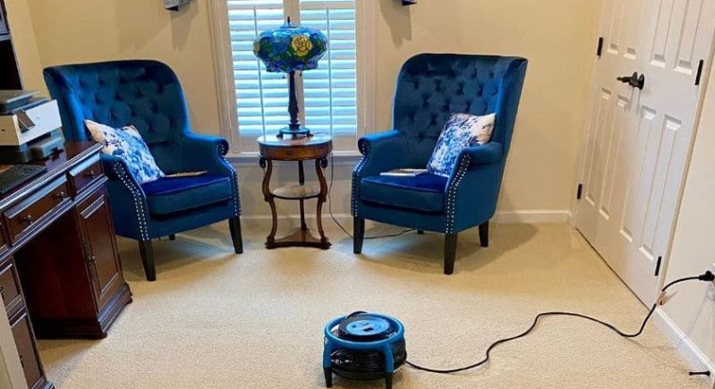 Quality Carpet Cleaning in Monmouth County NJ