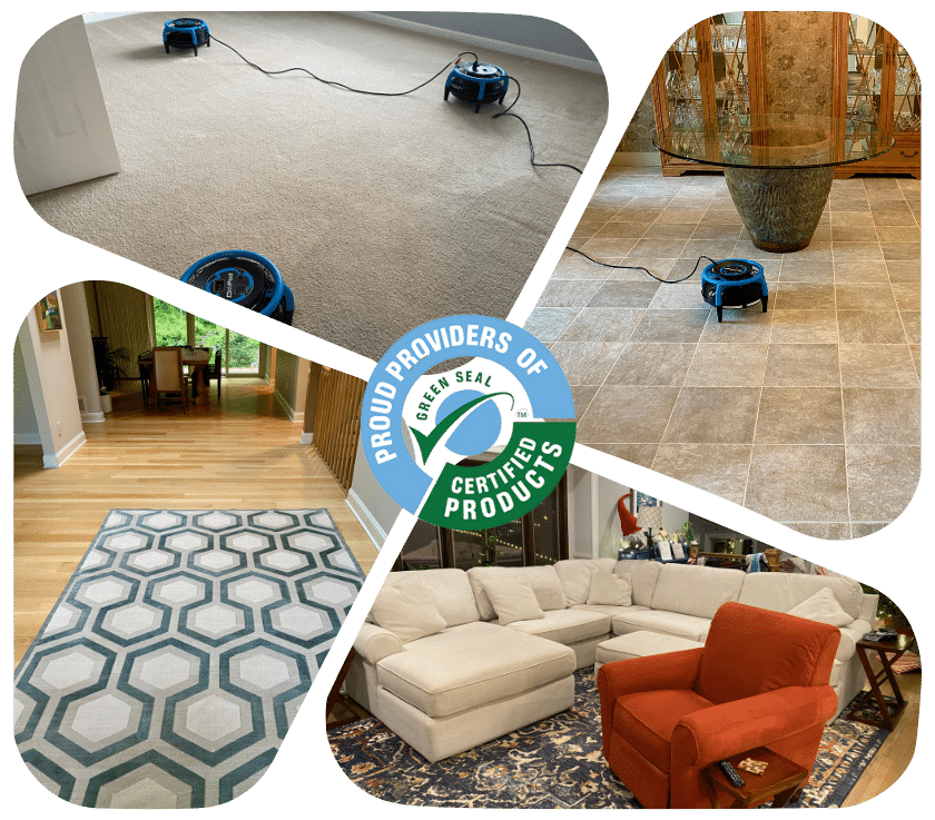 Carpet Cleaning in Monmouth County NJ